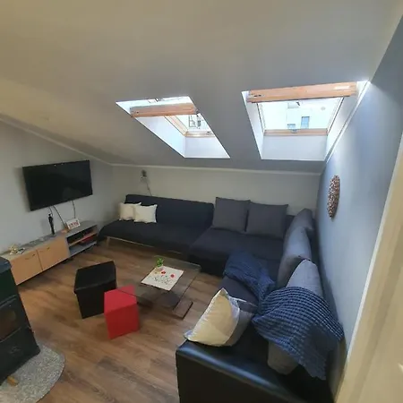 D Free Parking & Wifi, Walking Distance To Centrum Apartment *