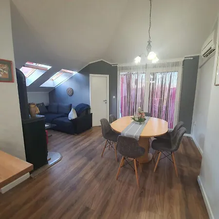 D Free Parking & Wifi, Walking Distance To Centrum Apartment *