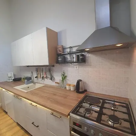 D Free Parking & Wifi, Walking Distance To Centrum Apartment *