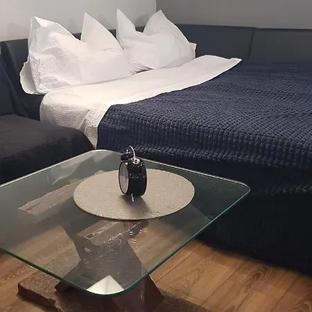 D Free Parking & Wifi, Walking Distance To Centrum Apartment *