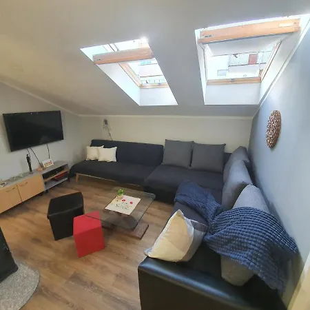 D Free Parking & Wifi, Walking Distance To Centrum Apartment *